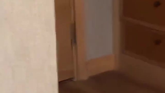 【我系大黄瓜】最新视频已上线，快来围观！