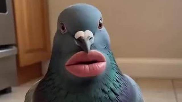 注意隐私