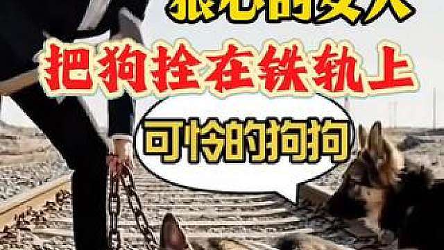 狠心的女人将狗妈妈栓在铁轨上遗弃 狠心的女人将狗妈妈栓在铁轨上丢弃，小狗寻人救助背后感人一幕