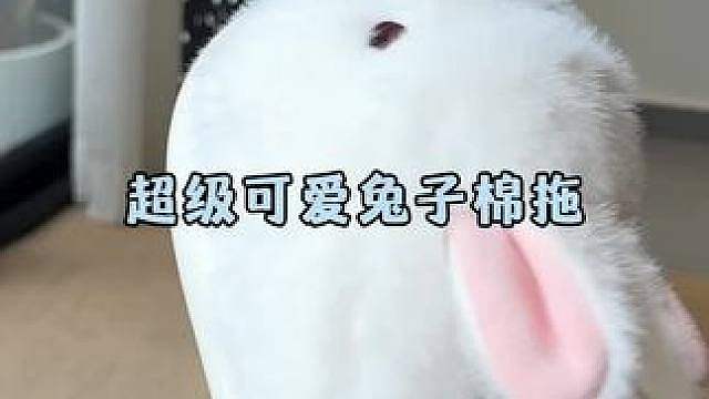 啊啊啊啊啊好可爱啊！萌到心里的兔兔棉拖拖超好穿！ #