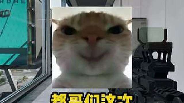 违背兄弟法则