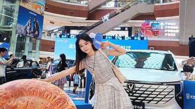 一台玩帅一台顾家长安两台混动该怎么选