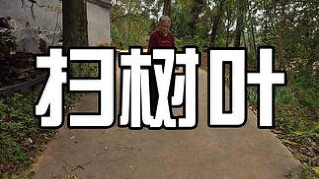 扫树叶 一台吹风机，给奶奶的扫把退休了。