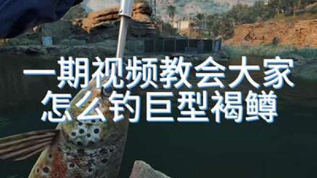 2分钟教会你钓巨型褐鳟