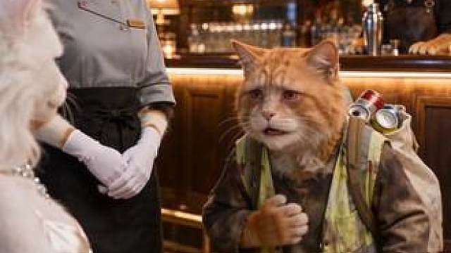 拾荒老猫进酒吧讨水，唱了一首老伴最爱的听