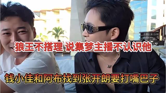 钱小佳和阿布找到张开朗要打嘴巴子，狼王不搭理，集梦主播不认识我