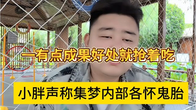 小胖声称集梦内部各怀鬼胎，一有点好处就抢着吃