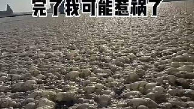 完了，这次真的惹祸了