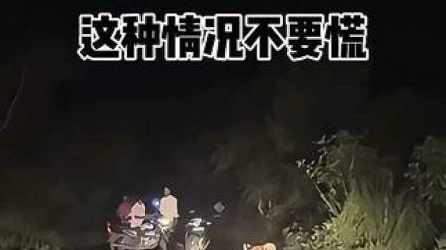 野外遇到拦路虎，千万不要慌