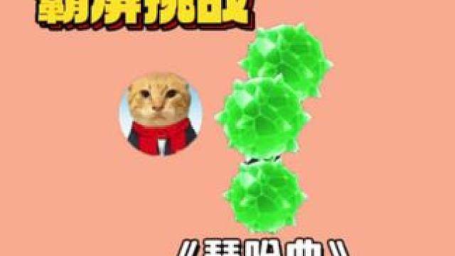 《琵哈曲》