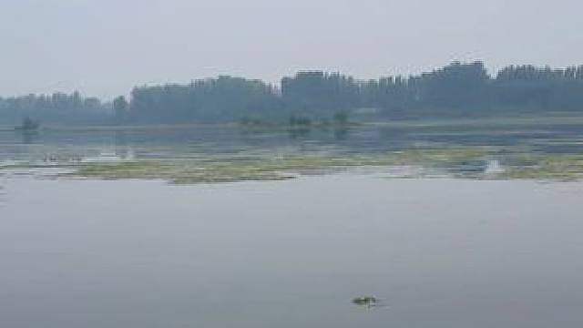 滹沱河雾景