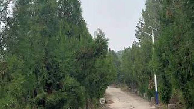 环山小路