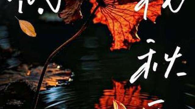 我就是玩 我就是玩 入秋的第一眼就是残荷
不妨在闲暇的午后挑一首舒缓的轻音乐戴上耳机，顺着铺满梧桐叶的小径慢慢逛，吹着清爽不燥热的秋风抬眼望去，撞入眼帘的第一幅景致便是水边的残荷。早已过了映日荷花别样红的盛夏，枯褐的边缘卷着细碎褶皱的叶片垂在水面，粉嫩花瓣尽数褪去，只剩深褐的茎秆直直立在微凉的水波里，没有一丝弯折颓然的姿态。哪怕夏日的生机已经逐渐散场，它依旧挺着不肯弯折的筋骨，清瘦又坚韧地傲立在澄