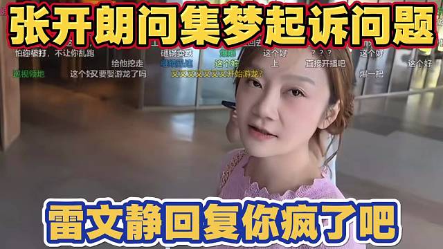 张开朗询问被集梦起诉问题 什么时候发律师函 一直在等着呢 CEO雷文静回复你疯了吧