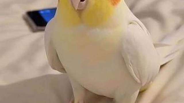 到底要怎么样？