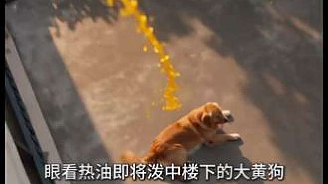 少羽