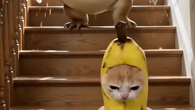 有点过分
