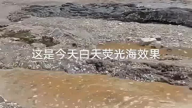 得了就得了，别说什么踩海水了。