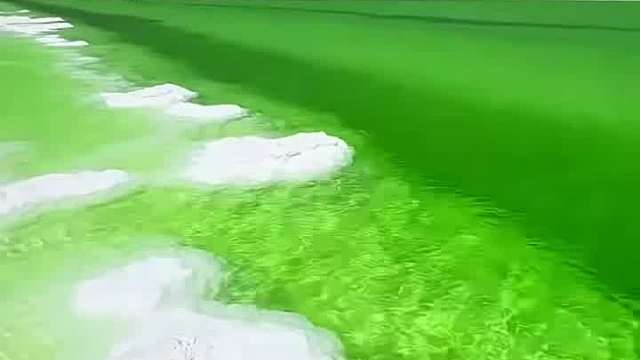 湖里全是盐为什么不能直接挖回家吃