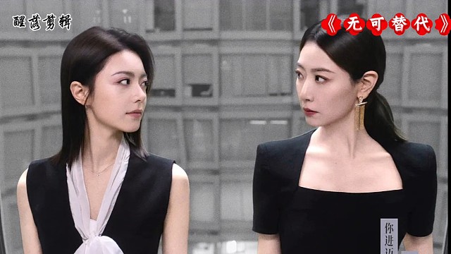 电视剧《无可替代》