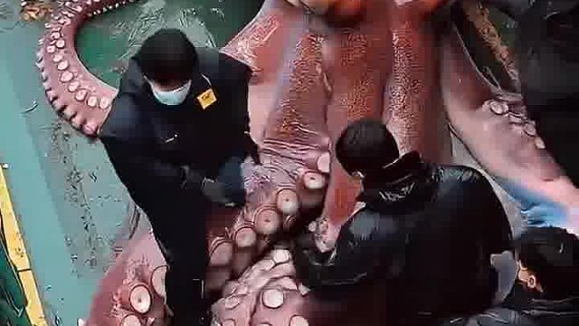 现在的AI太真了