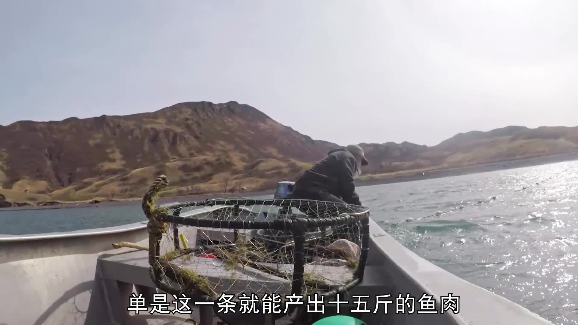 山地硬汉：带走山羊肉，出海捕鱼，调查棕熊分布情况