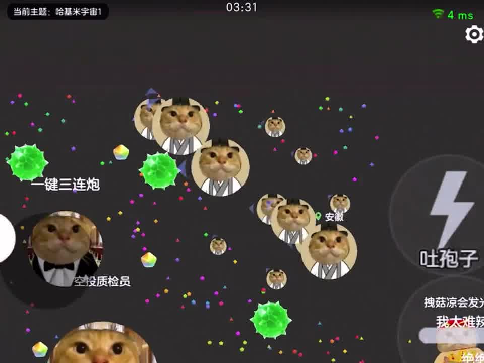 “青哈”