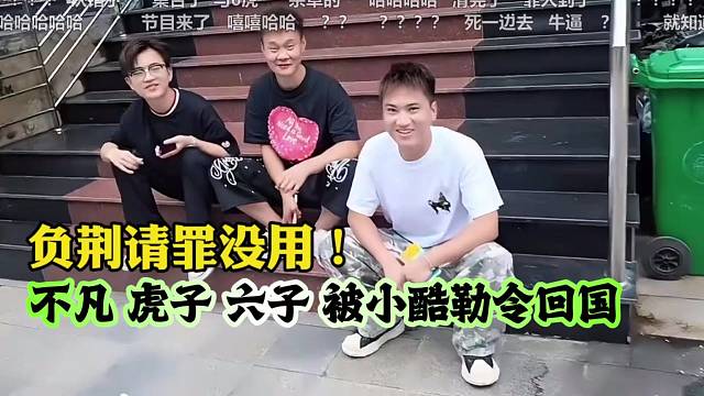 负荆请罪没用！不凡虎子六子被小酷勒令回国