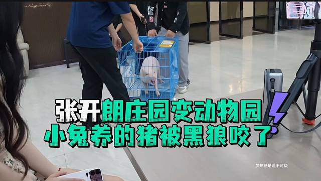 张开郎庄园变成动物园小兔养的猪被黑狼咬了直流口水
