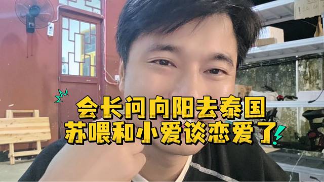 会长问向阳去泰国苏喂和小爱谈恋爱了