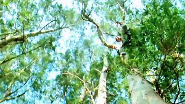 《音乐僵尸》第四集
