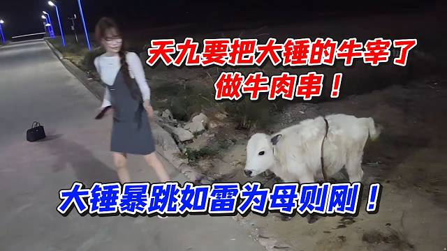 天九要把大锤的牛宰了做牛肉串！大锤暴跳如雷为母则刚