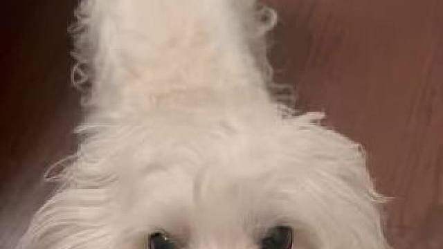 今天请假一天 练完车回来发现热水器坏了洗不了澡