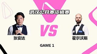 张安达  VS  史蒂文·霍尔沃斯  2025斯诺克武汉公开赛资格赛 清流