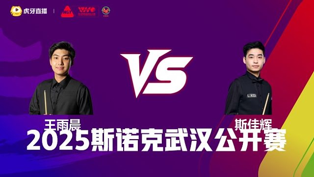 王雨晨VS斯佳辉 2025斯诺克武汉公开赛 清流