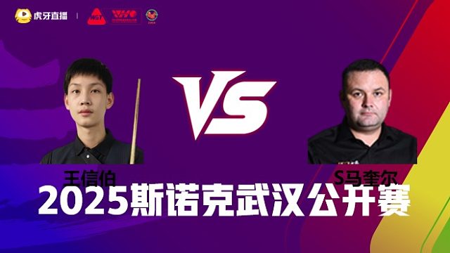 王信伯VS斯蒂芬·马奎尔 2025斯诺克武汉公开赛 清流