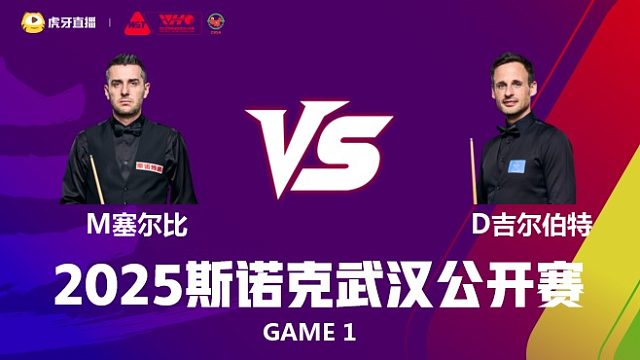 马克·塞尔比VS大卫·吉尔伯特 2025斯诺克武汉公开赛 清流