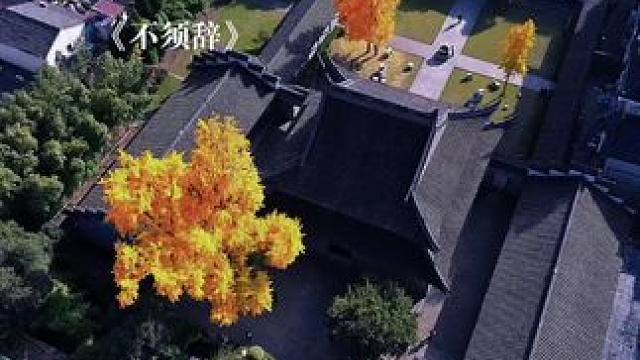 #广播剧 #不须辞 这个小黑龙是懂得如何CPU自己的～