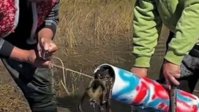 #户外捕鱼 #好多鱼