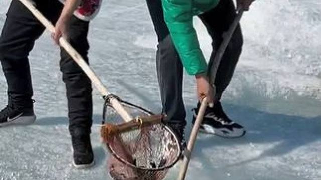 #户外捕鱼 #好多鱼