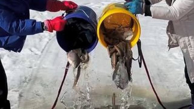 #户外捕鱼 #好多鱼