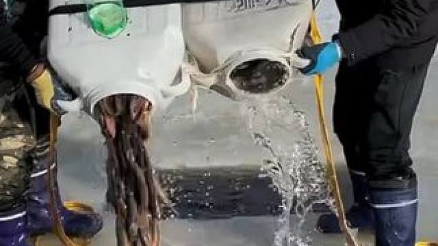 #户外捕鱼 #好多鱼