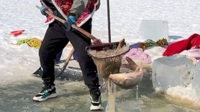 #户外捕鱼 #好多鱼