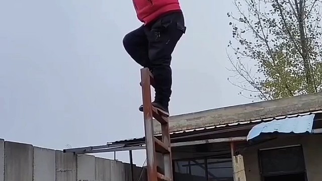 狗：跟你混全靠命硬