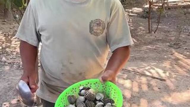 东南亚乡村美食 #血蛤#东南亚美食#东南亚矮子#乡村美食