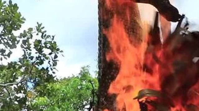 东南亚原始美味 #田园生活乐趣多 #东南亚原始美味#东南亚美食