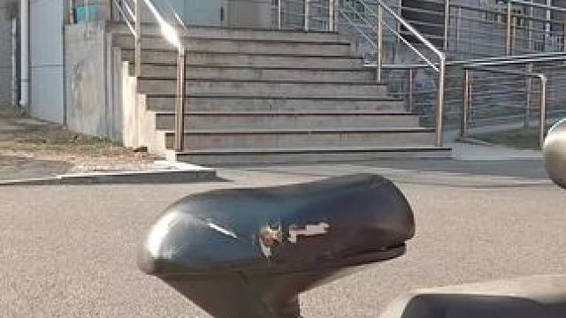 家里横 #逮啥咬啥 #六亲不认