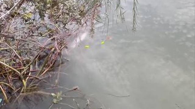 水下面到底是什么#钓鱼 #钓鱼的乐趣只有钓鱼人懂 #钓鱼人就是这么疯狂 #钓鱼人 #钓鱼那些事