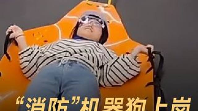 “消防”机器狗上岗，深入火场挽救人命 #机器狗  #人工智能  #消防  #科技  #科技改变生活