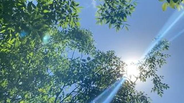 今年要过去了吗？我的印象里好像只有夏天。